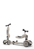 2in1 Kickboard 'Highway Kick 1' ash