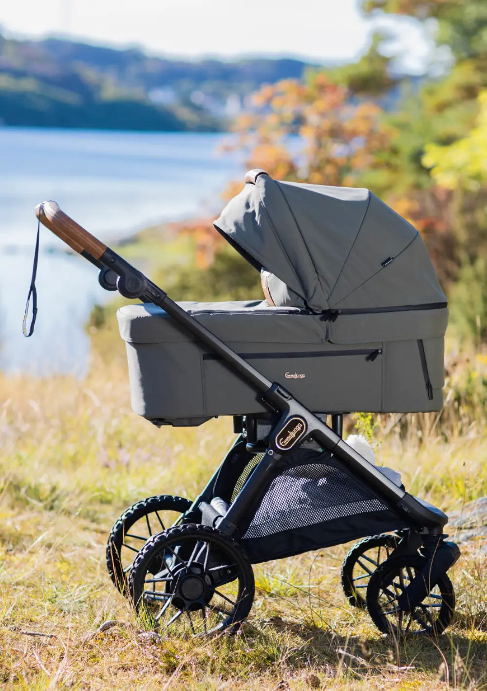 Der olivenfarbene Kombikinderwagen mit Babywanne Emmaljunga Kinderwagen-Set SENTO PRO Outdoor Green steht freistehend in einer herbstlichen Naturlandschaft am Wasser.